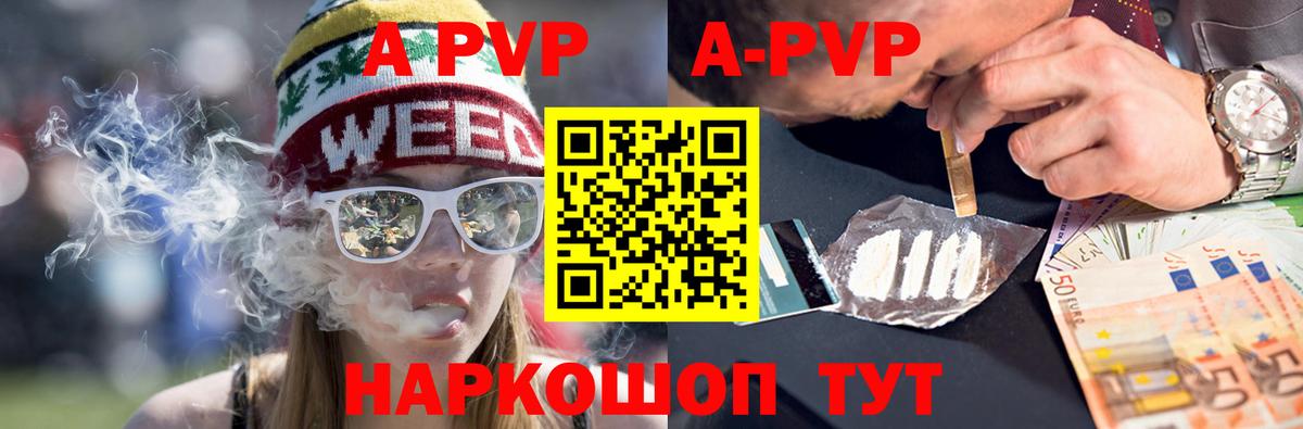 Alfa_PVP СК Мончегорск