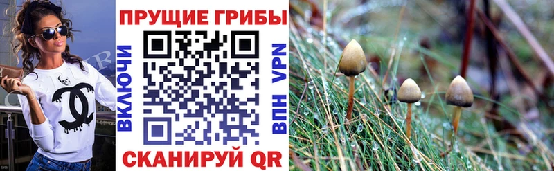 Галлюциногенные грибы ЛСД  Мончегорск 
