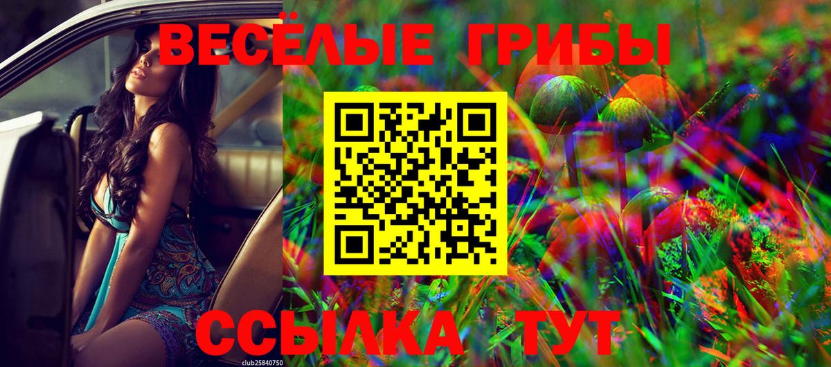 Галлюциногенные грибы MAGIC MUSHROOMS Мончегорск